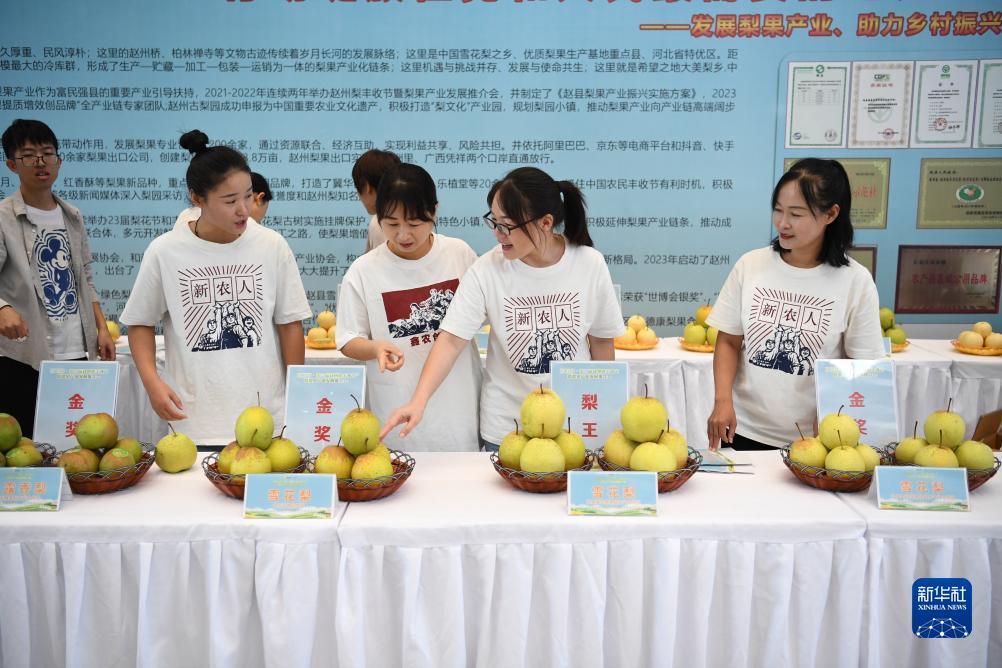博艺堂娱乐官方网站